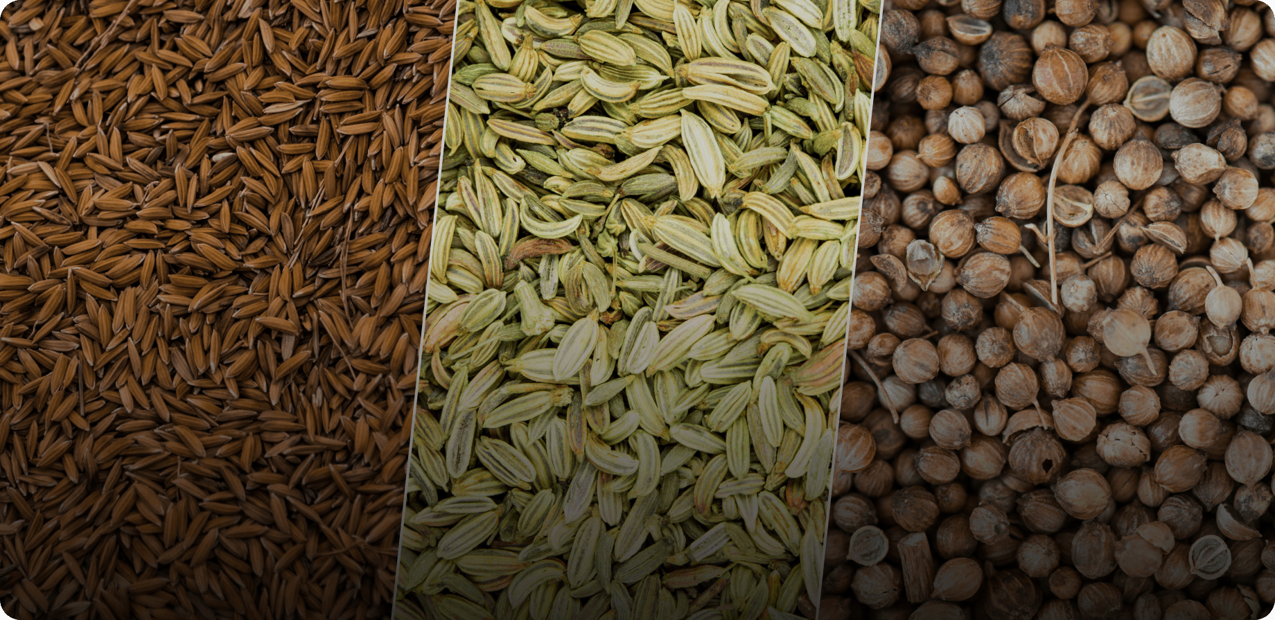 Dhirendra Spices processing facility
